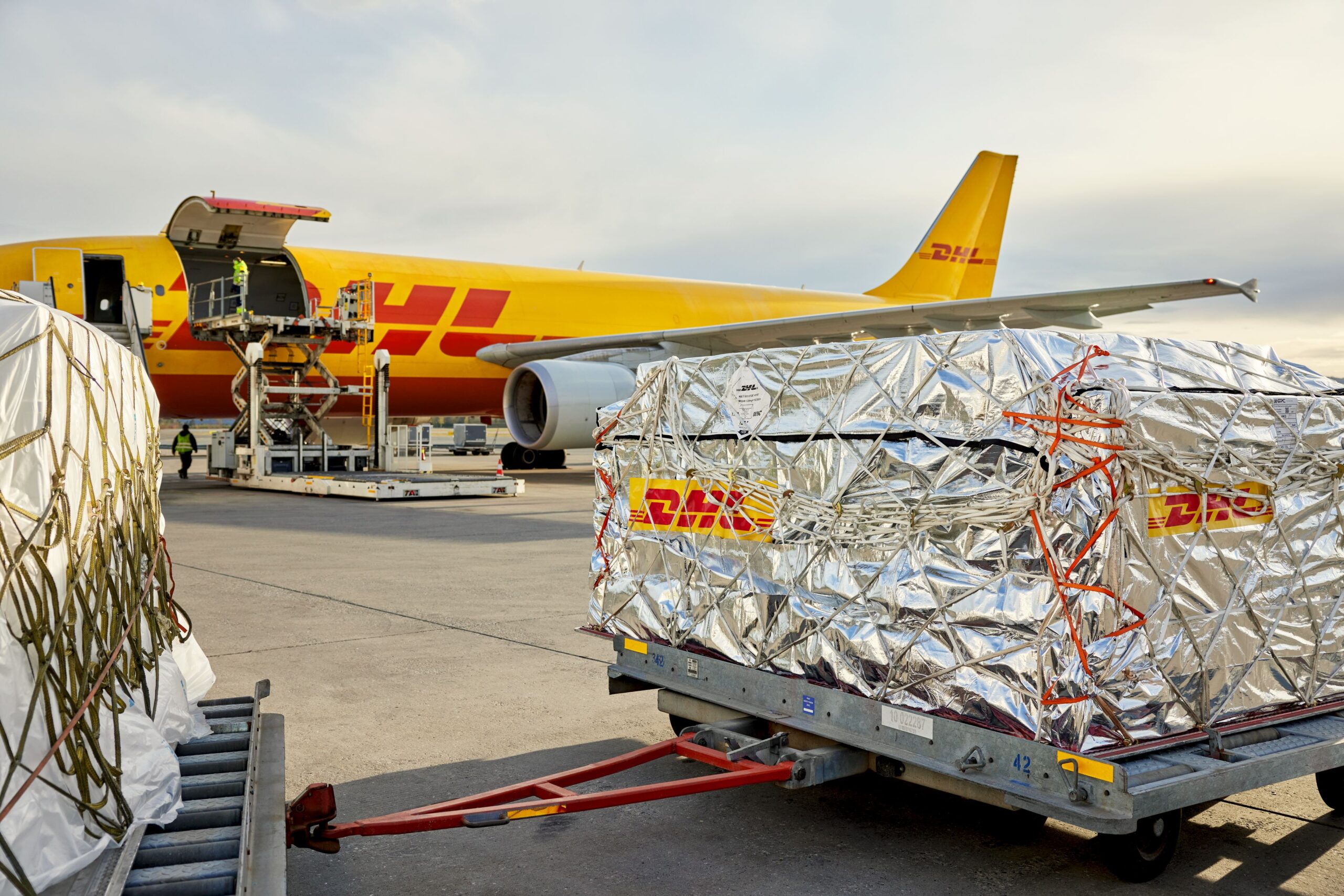 Heavy Weight Express DHL Express